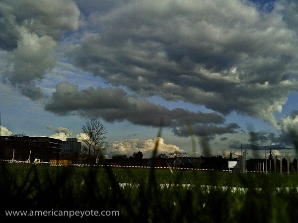 F521_Images-0009.jpg