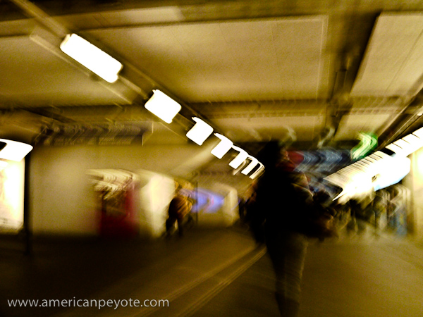 F521_Images-0032.jpg