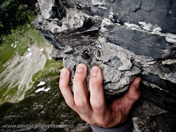 Hand-1.jpg