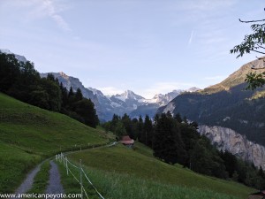 R0016799.jpg
